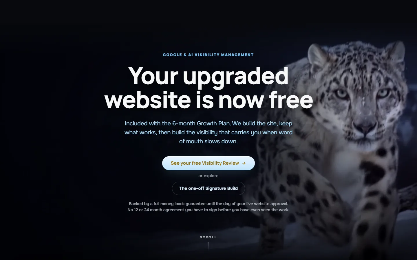 The Optimum AI Solutions home page at desktop width, captured live