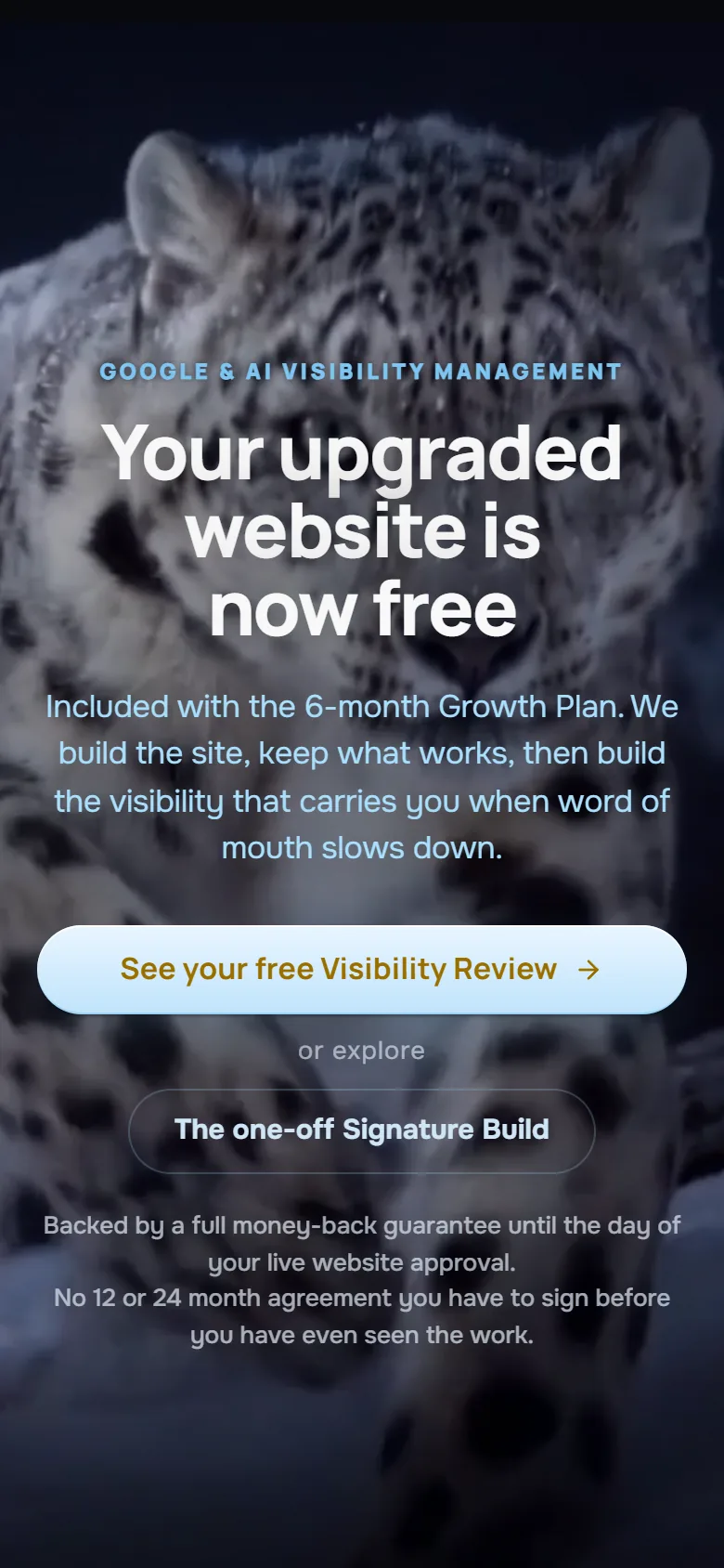 The Optimum AI Solutions home page on a phone, captured live